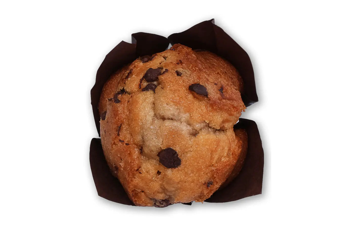 Chocolate Chip Muffins — historical Pan & Plus product